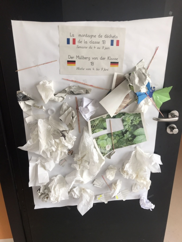 tl_files/dualingo_neu/News 2022 2023/Umweltwoche (4).jpg
